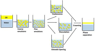 Nanoemulsions and Their Potential Applications in Food Industry